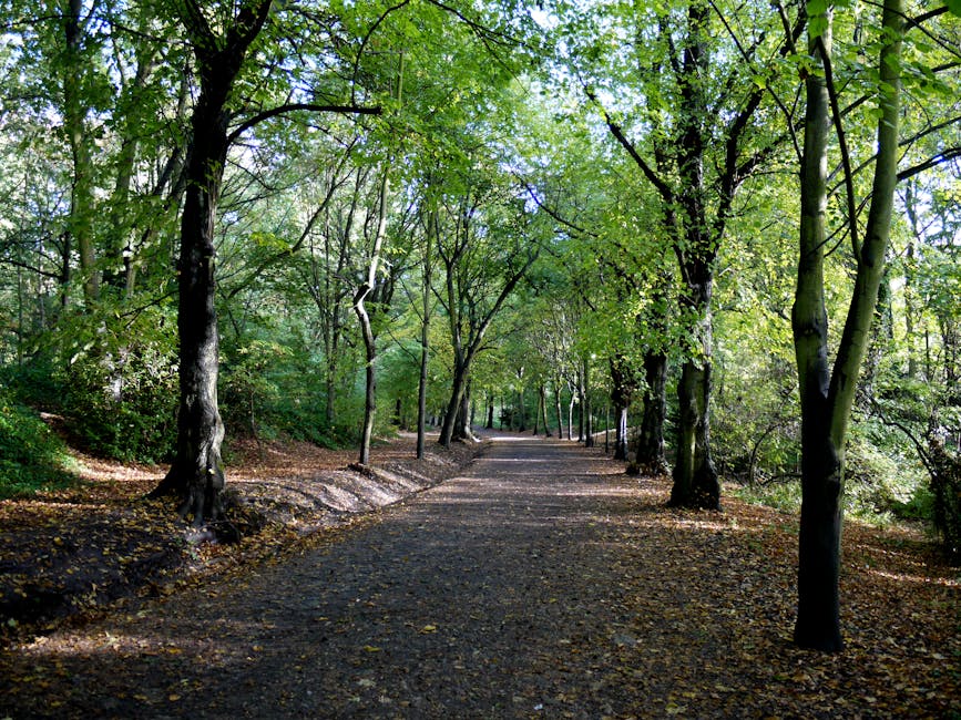 Avoid fines Hampstead Heath waste disposal rules explained