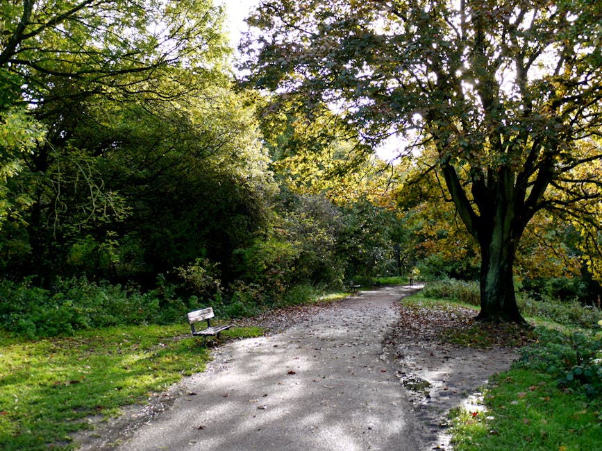Booking guide for Hampstead Heath rubbish removal services